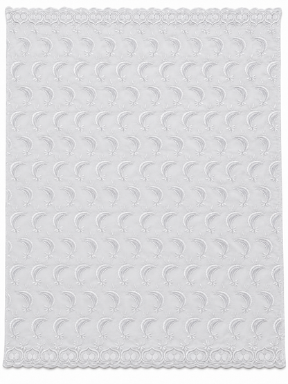 White Embroidered Voile Lace Fabric