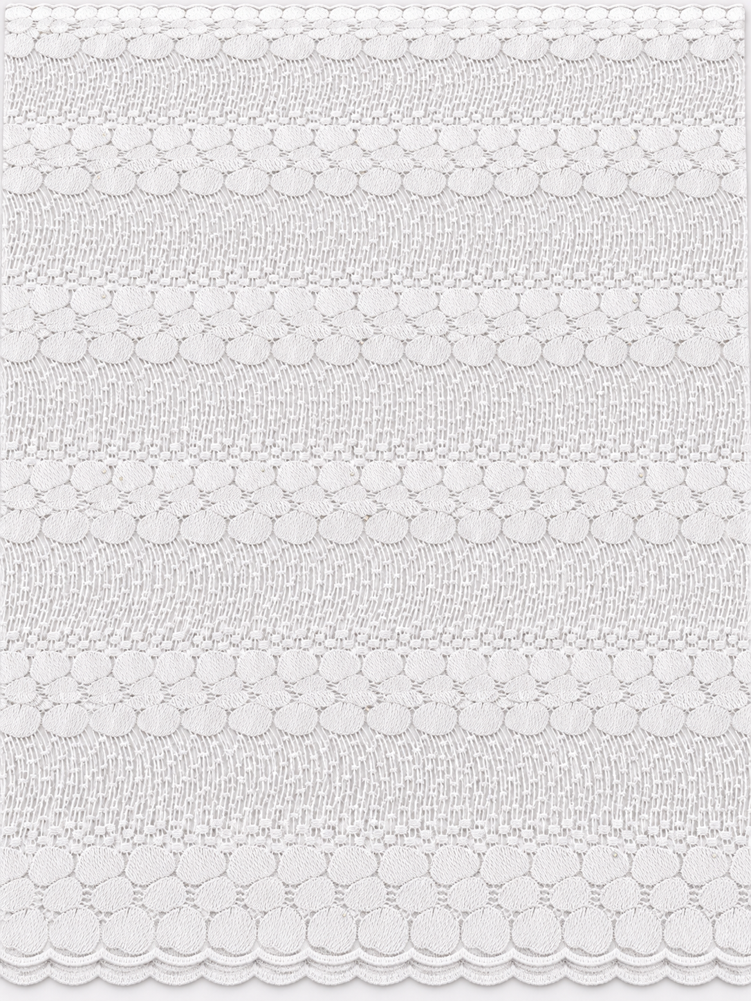 Ersion White Embroidered Lace Fabric